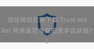 信任钱包在哪下载 Trust Wallet 将来是否会复旧更多区块链？